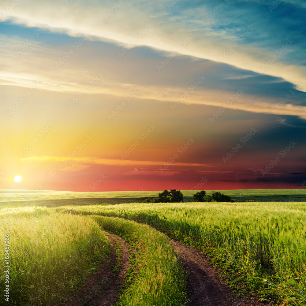 Fototapeta premium nice sunset in clouds over road in green field