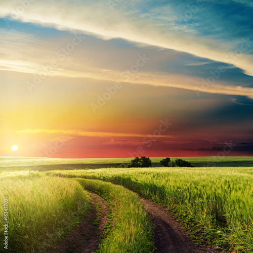 nice sunset in clouds over road in green field