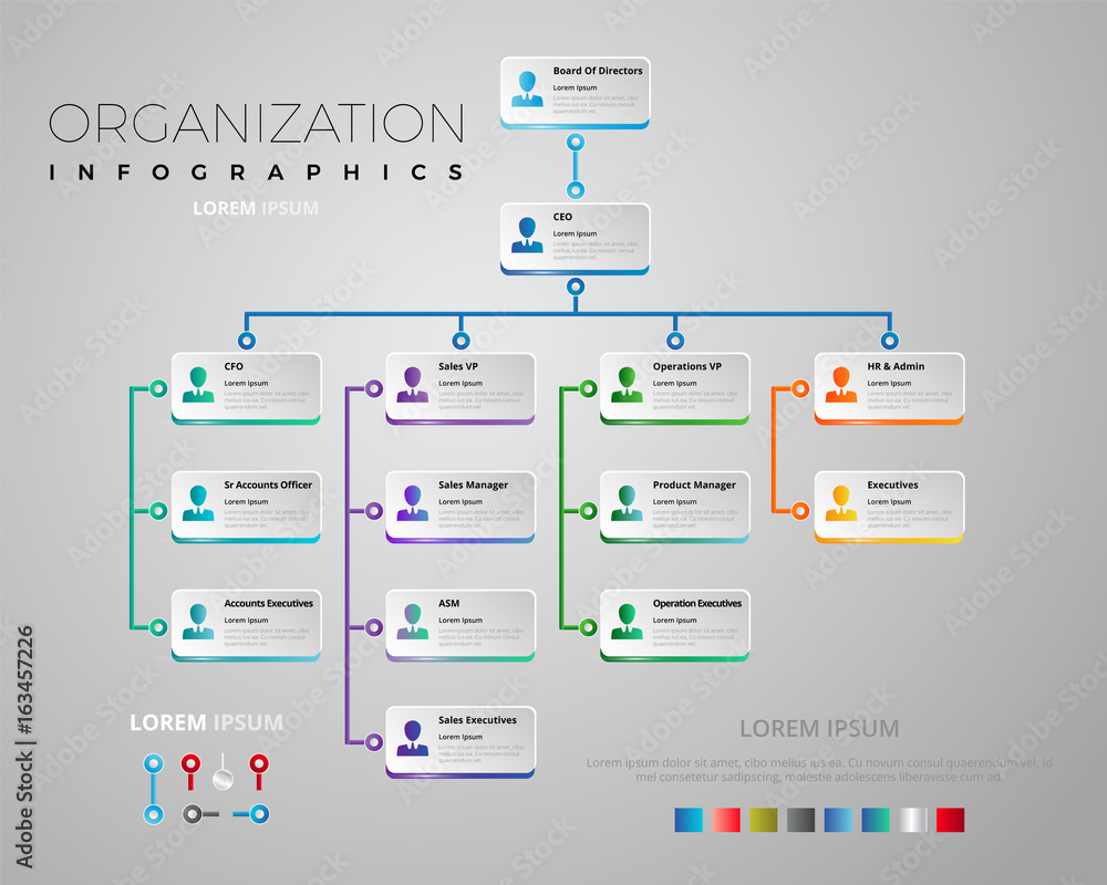 Organization Schema Infographic Vectorial Design Stock Vector | Adobe Stock