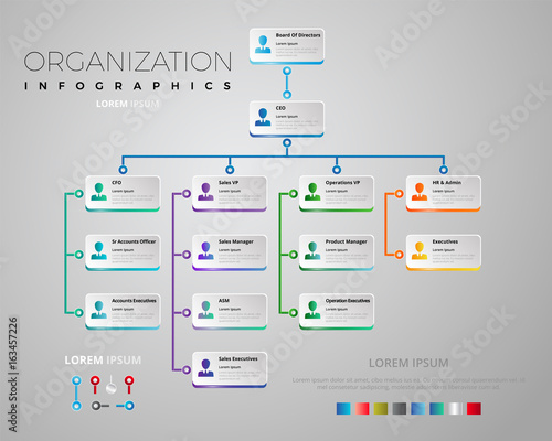 Organization Schema Infographic Vectorial Design