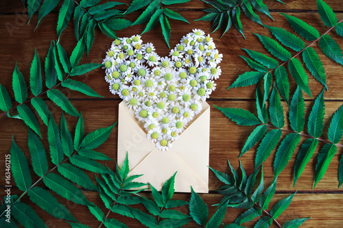 Envelope with chamomile flowers and green leaves on a wooden background