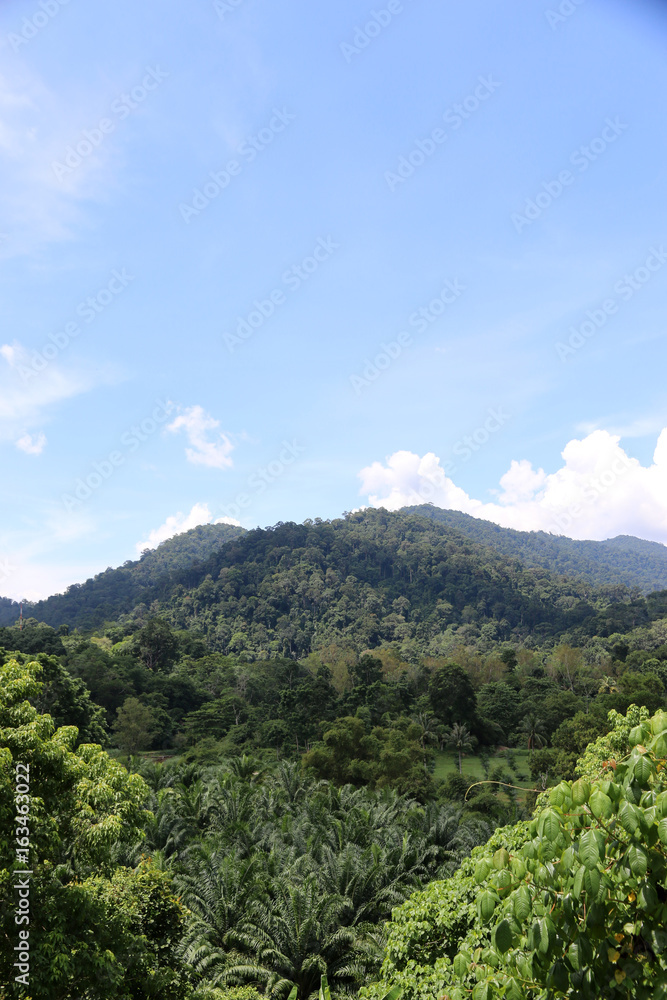 nature forest Mountain View point in holiday Asia Tropical country