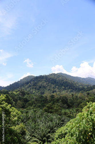 nature forest Mountain View point in holiday Asia Tropical country