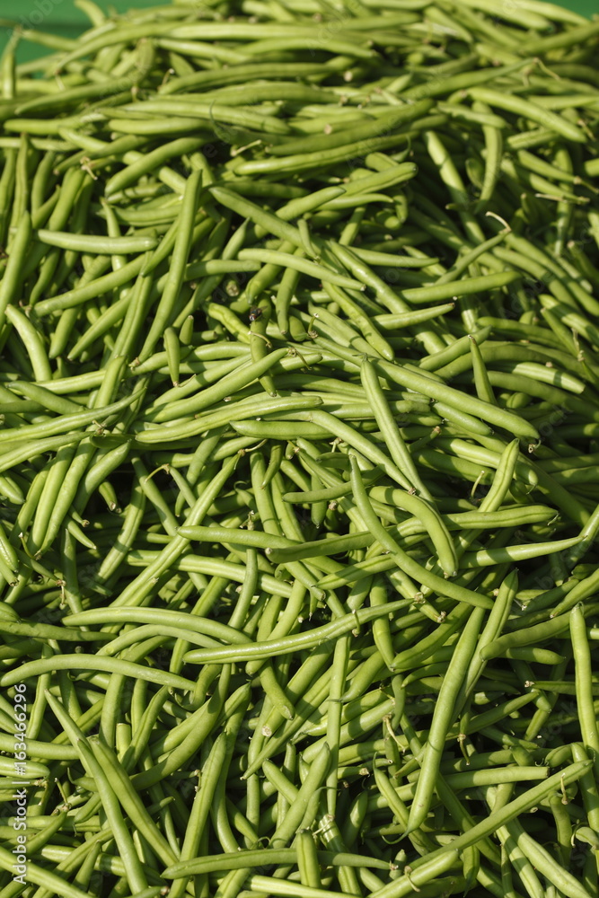 Frische Buschbohnen auf einem Marktstand Frische Buschbohnen auf einem Marktstand