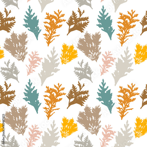 Vector seamless pattern with thuja branches.