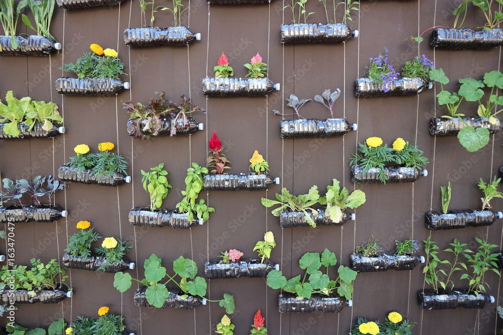 Vertical Garden Stock Photo, How To Make A Wall Garden With Plastic Bottles