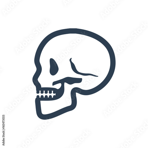 osteology icon