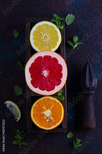 Orange, lemon and grapefruit slices with citrus reamer on dark background