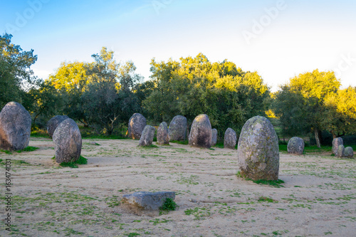 Menhirs in a cromlech close to Evora in Portugal