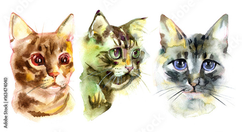 фотографія European shorthair cat red tabby, kitten lies on white background, isolated, hand draw watercolor painting