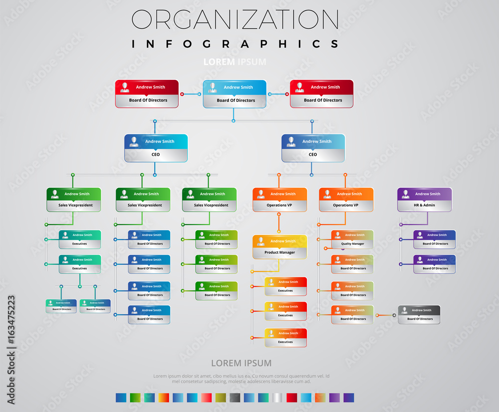 Organization Schema Infographic Vectorial Design Stock Vector | Adobe Stock