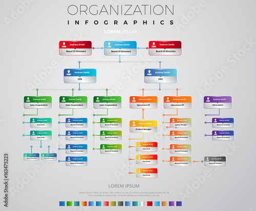 Organization Schema Infographic Vectorial Design