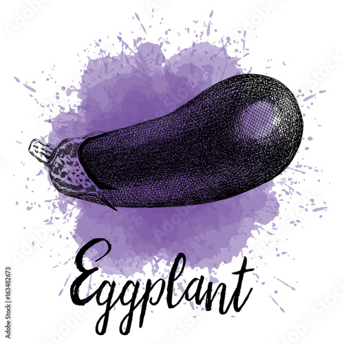 Vector illustration of eggplant depicted in hand-drawn graphics. Vegetables are drawn on a purple watercolor background