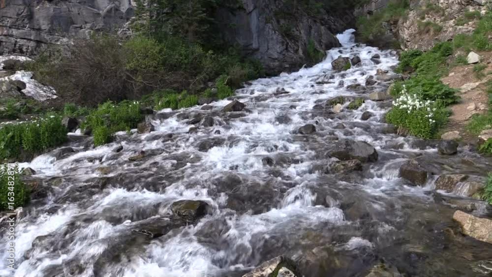 Fast Flowing Mountain Stream in Summer Fast Flowing Mountain Stream in Summer