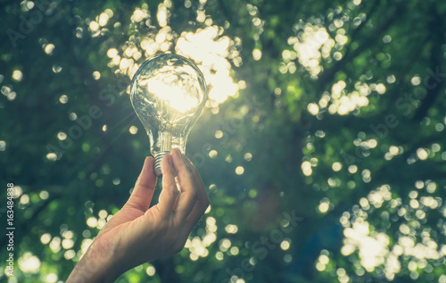 Hand of person holding light bulb for idea or success or solar energy photo