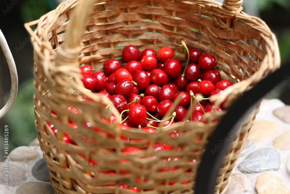 Cherry Cherry