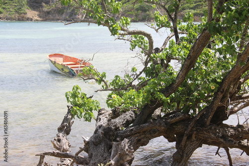 Guadeloupe - St François - Juin 2017 photo