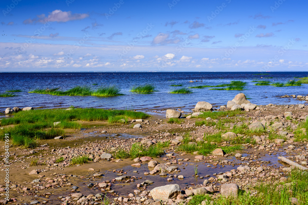 The picturesque coast of the Finskiy Gulf in Saint-Petersburg, Russia
