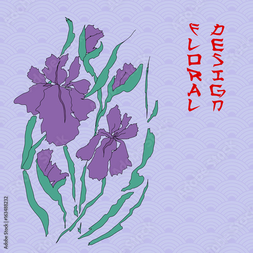 Vector iris. Hand-drawing illustration.