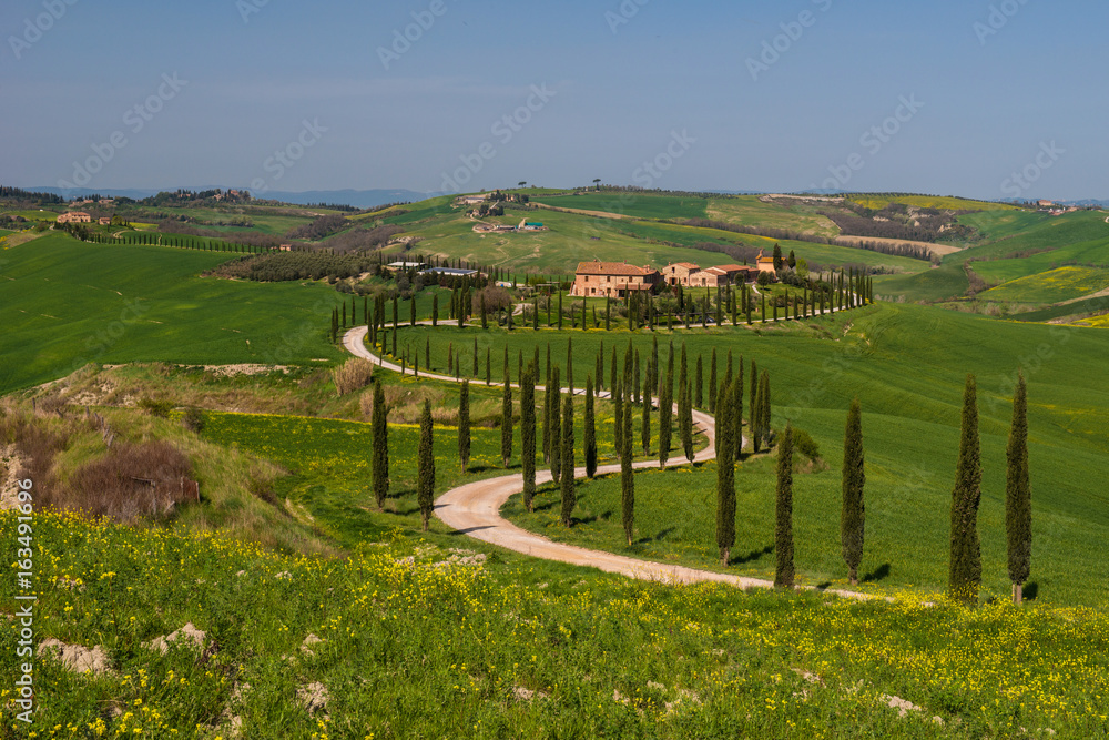 Tuscan countryside