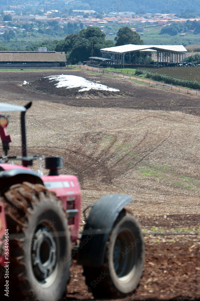 Obraz premium Fazenda de gado