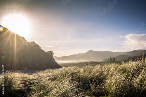 Late Afternoon Sun on a Winters Day at Piha Beach, Auckland New Zealand