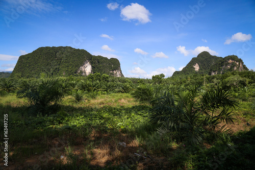 Landscape in thailand 