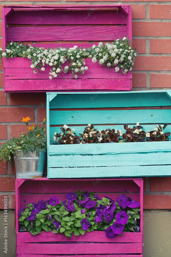 Fototapeta premium Bright colored wooden boxes with flowers. European exterior design.