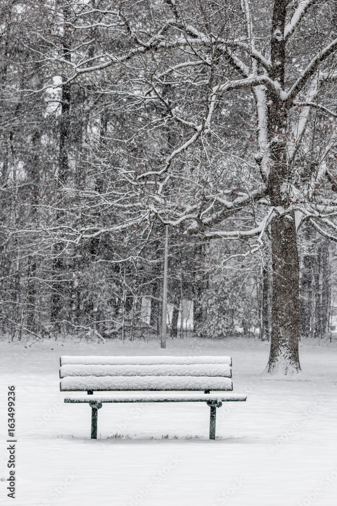 Lonely frozen bench at Slater park