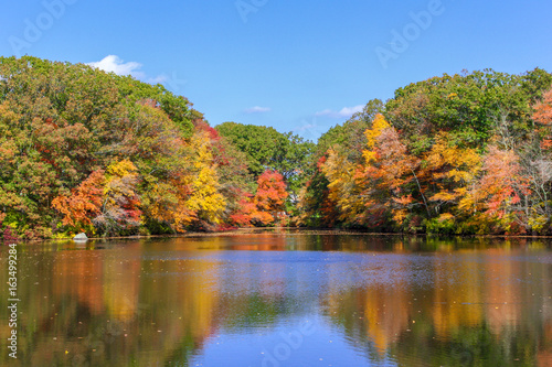 Fototapeta Fall Color has arrived in New England