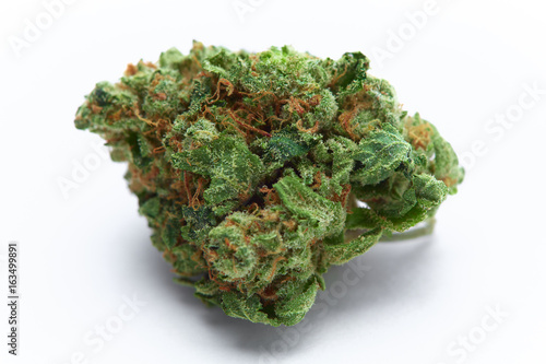 Close up of  Venom OG medical marijuana bud isolated on white background