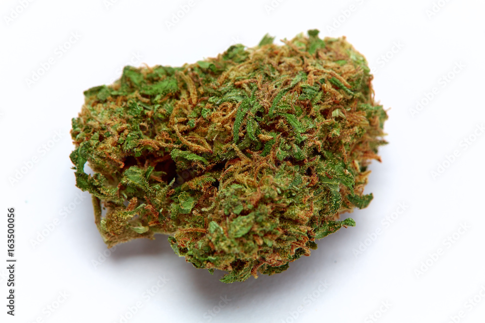 Close up of J1 medical marijuana bud isolated on white background