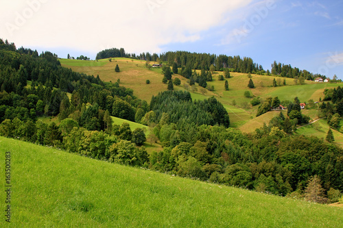 Hiking through beautiful landscape near the mountain Schauinsland in the Black Forest, Germany