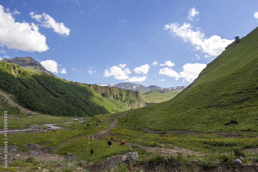 Горный пейзаж. Красивый вид на горное ущелье, живописная долина. Горы и природа Северного Кавказа