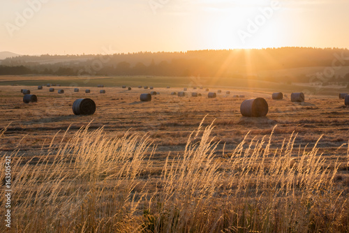 Fotografia, Obraz Sunrise over harvest hay field