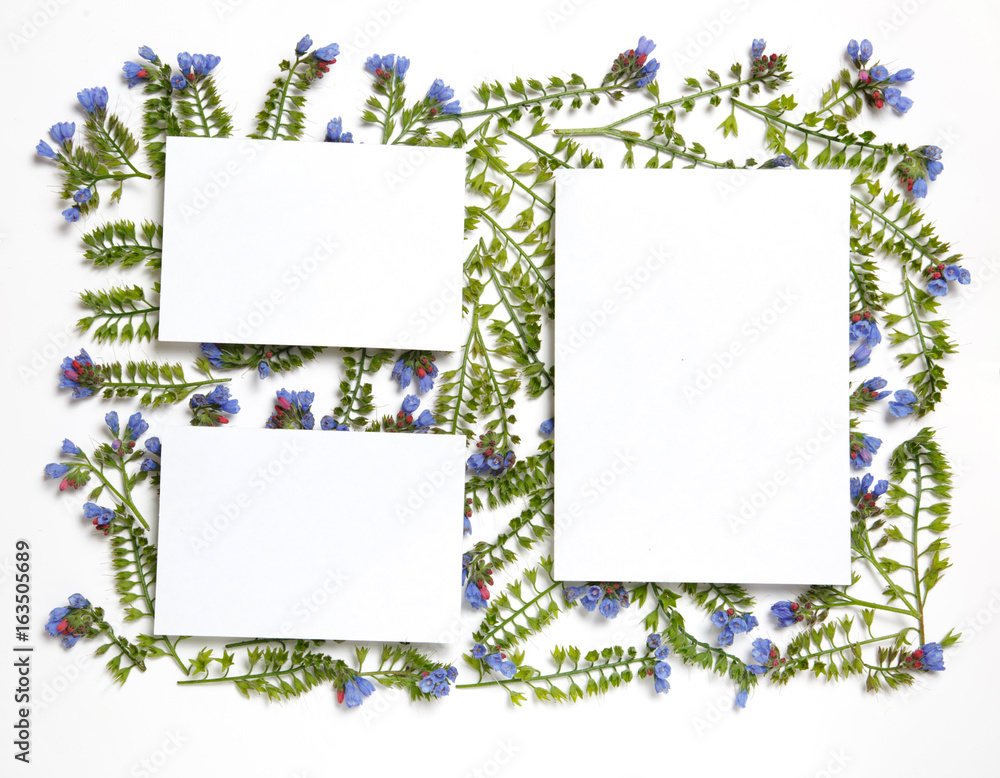 Floral frame made from the flowers Symphytum laid out pattern on a white background.