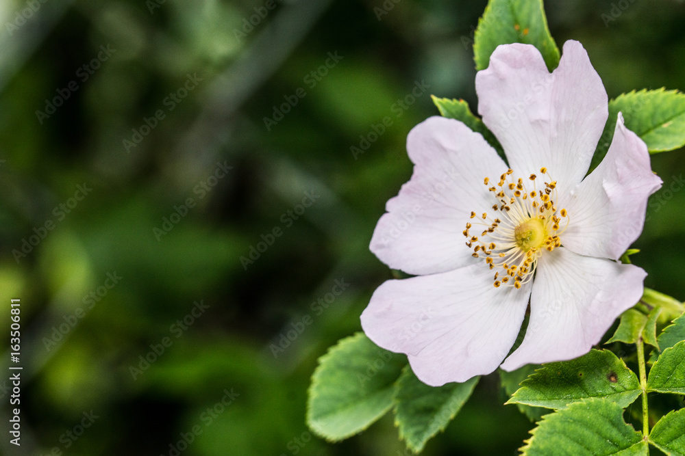 Natur, Ausflug, Entdecken, Wandern, Erleben. Berge, Outdoor