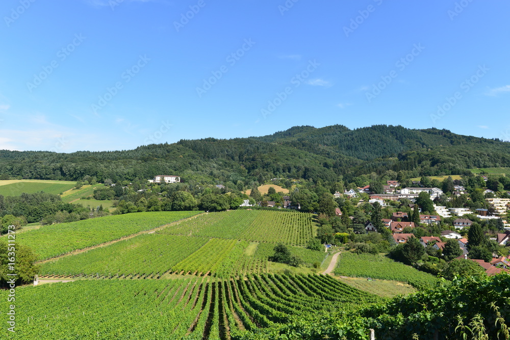 Staufen im Breisgau