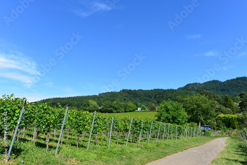 Staufen im Breisgau