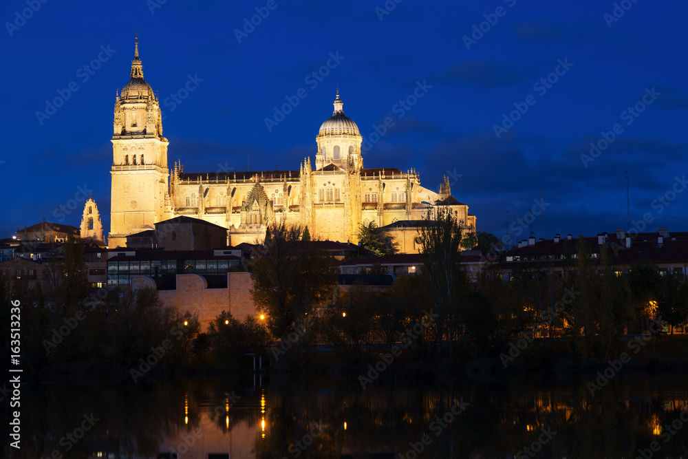  Cathedral of Salamanca in night time