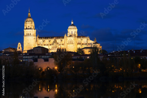  Cathedral of Salamanca in night time