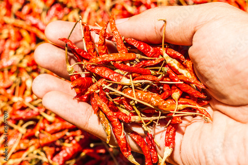 Hot and spicy Red Chilli on hand,Dried red chili,Pepper,Chillies as background for sale in a local food market,thai food ,close up,texture,spice medicinal properties.