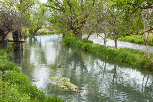 Daio wasabi farm,Azumino