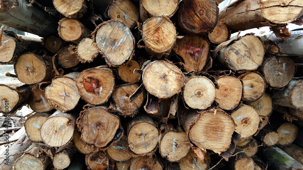 Stacked wood pine timber for construction buildings Background Stacked wood pine timber for construction buildings Background