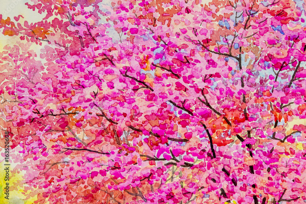  Colorful of wild himalayan cherry and emotion in abstract  background