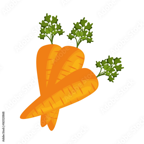 Delicious carrots vegetable icon vector illustration graphic design