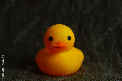 Yellow Duck Toys Over Sackcloth
