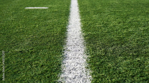 dividing the white stripe on the football field