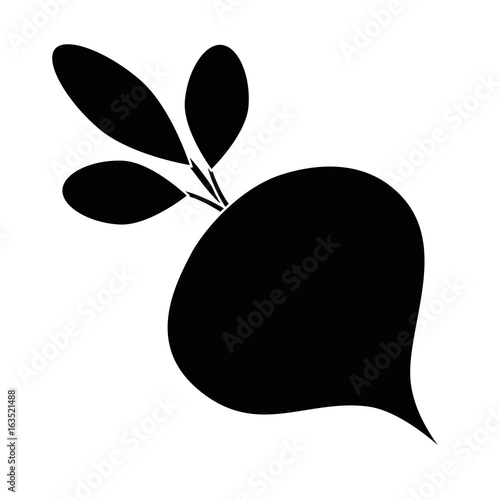 Delicious radish vegetable icon vector illustration graphic design
