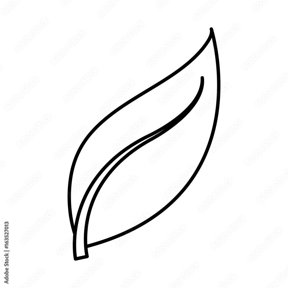 leaf icon over white background vector illustration leaf icon over white background vector illustration
